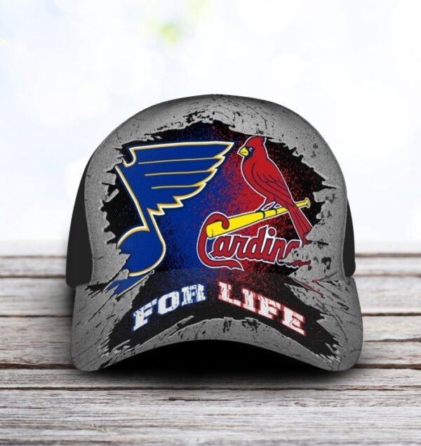 St. Louis Cardinals & Blues For Life