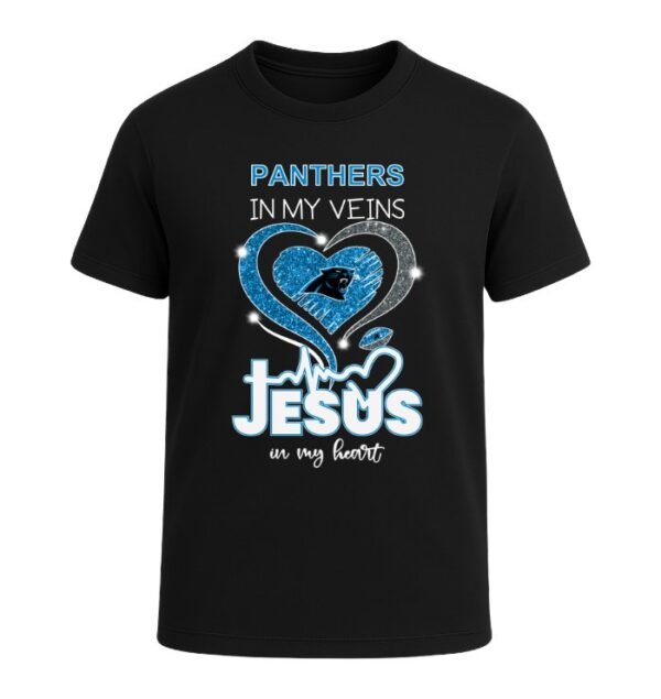 Carolina Panthers in my Veins, Jesus in my Heart